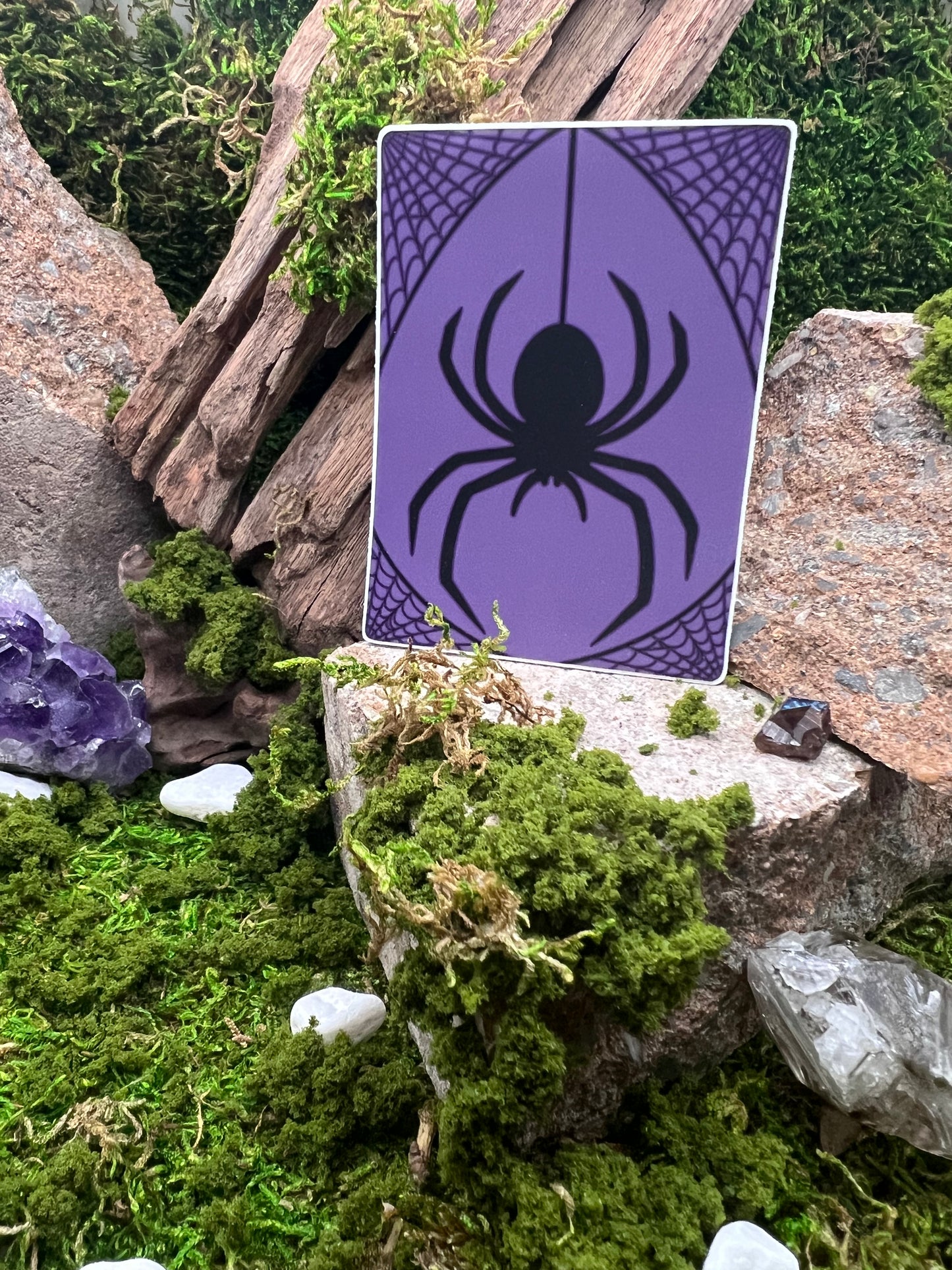 Spider Vinyl Sticker