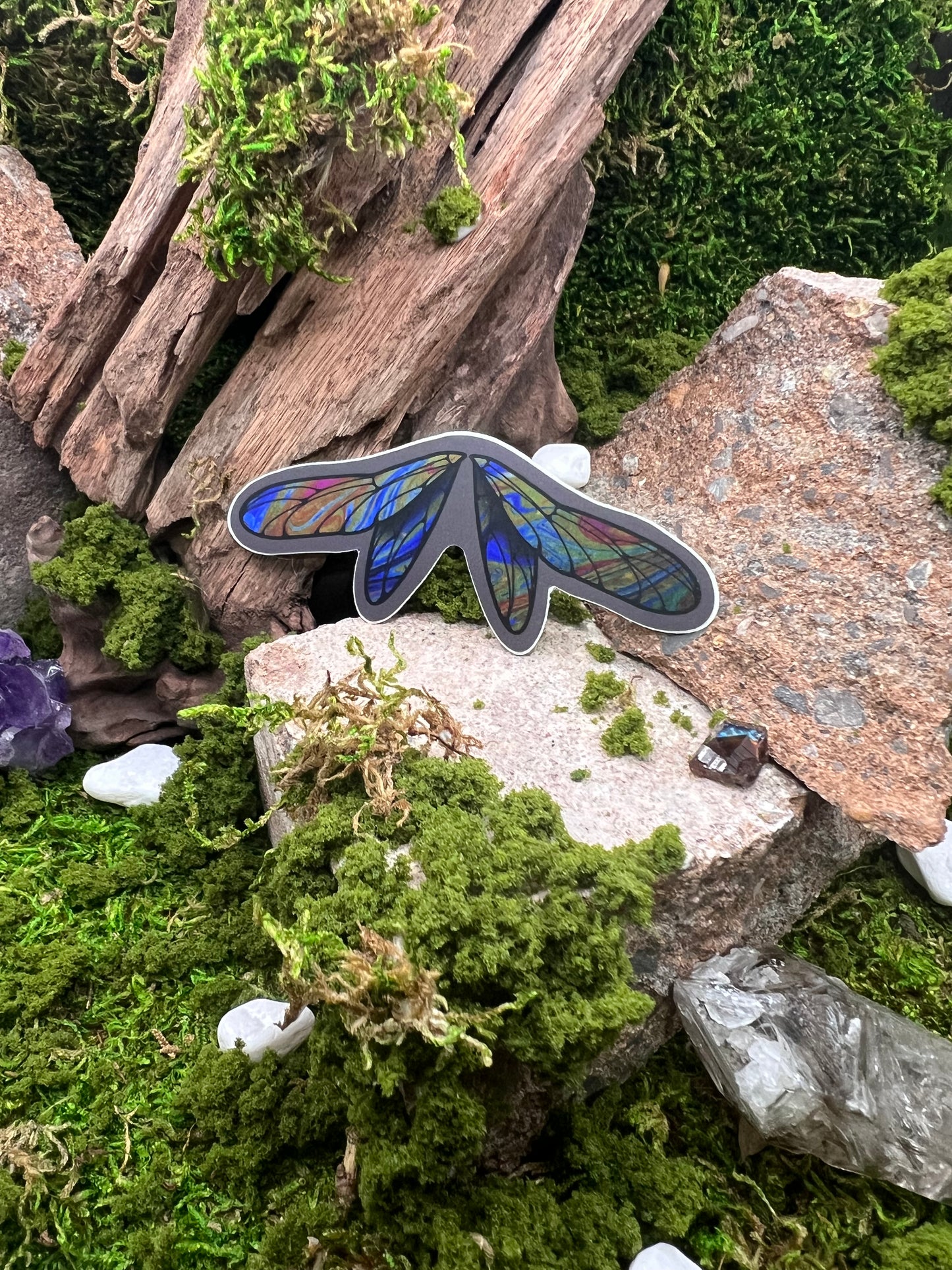 Dragonfly Wings Vinyl Sticker