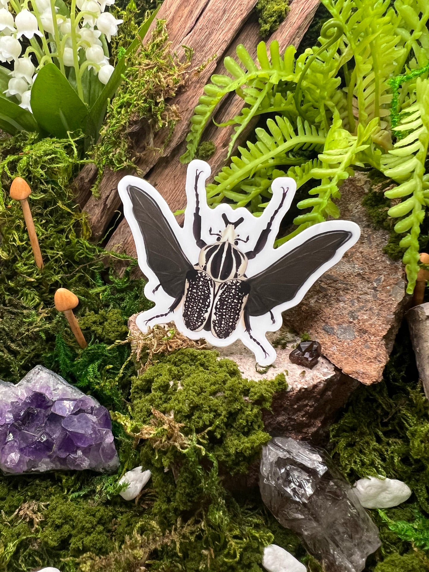 Goliathus Orientalis Sticker